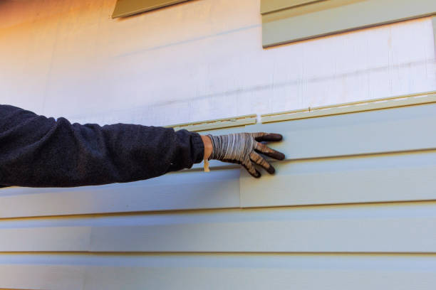 Best Historical Building Siding Restoration  in USA